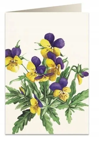 karnet-b6-koperta-5933-bugenwilla-okazja-dzien-babci