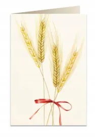 karnet-b6-koperta-5717-pszenica