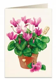 karnet-b6-koperta-5756-cyklamen