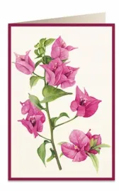 karnet-b6-koperta-5934-bugenwilla-2