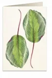 karnet-b6-koperta-6016-kalatea-stan-nowy