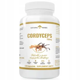 cordyceps-750mg-odpornosc-maczuznik-120-kaps