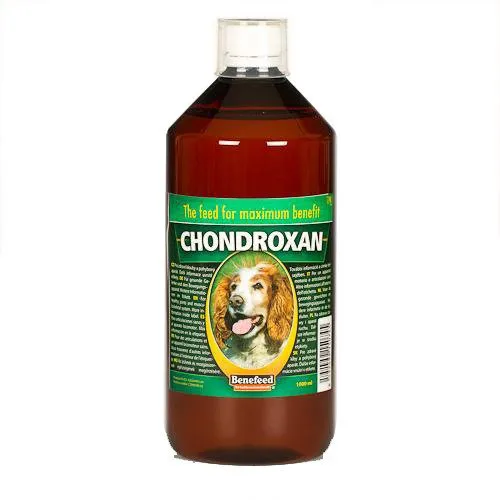 chondroxan-p-1l-rodzaj-inne