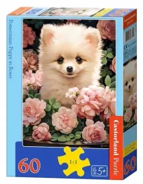 puzzle-dla-dzieci-60-elementow-ukladanka-pies-w-ogrodzie-pomeranian-szpic