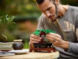 10281-lego-creator-drzewko-bonsai-minimalny-wiek-dziecka-10