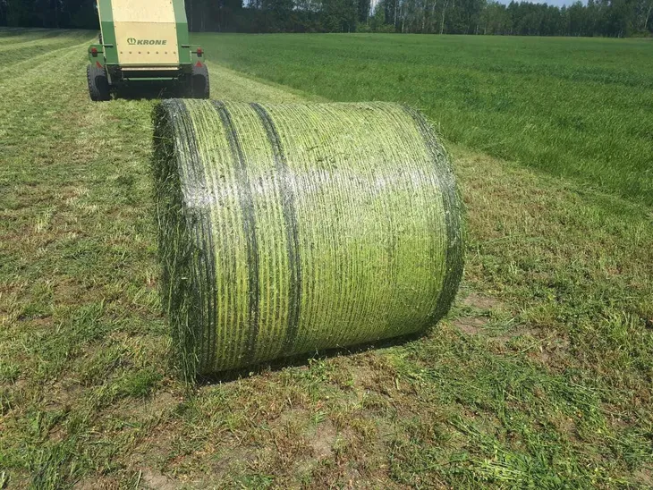 siatka-rolnicza-do-bel-slomy-siana-123-2000-rapidfield-10-szt-123-2000-10-marka-bez-marki