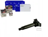 cewka-zaplonowa-delphi-gn10536-12b1-stan-nowy