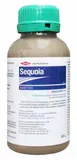 sequoia-05-l