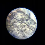 mikroskop-i-m-a-genius-kolor-wielokolorowy