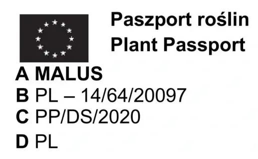 jablon-ozdobna-everest-odporna-na-mroz-sadzonki-130-150-cm-rodzaj-rosliny-inny-nazwa-lacinska-inna