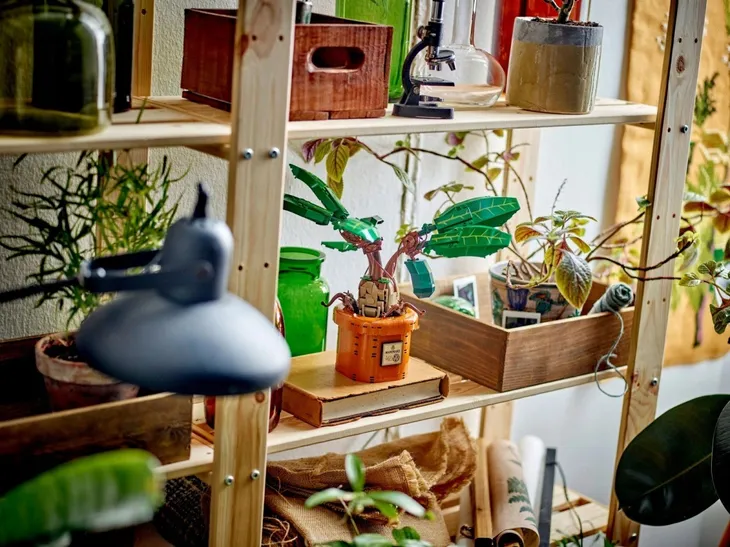 klocki-harry-potter-76433-mandragora-numer-produktu-76433