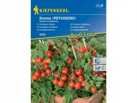 pomidor-koktajlowy-donna-pomidory-na-balkon-nasiona-kiepenkerl