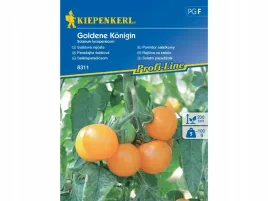 pomidor-koktajlowy-pomaranczowy-nasiona-kiepenkerl-odmiana-goldene-konigin