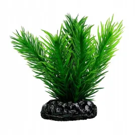 hobby-sztuczna-roslina-akwariowa-mayaca-7-cm-s-s-51584