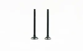 zawor-ssacy-i-wydechowy-50ccm-dl-69mm-losking-motorower