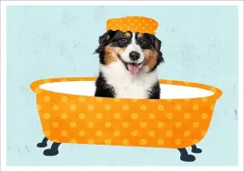 plakat-bez-ramy-do-lazienki-wc-toalety-pies-w-czepku-wannie-p2576-50x70