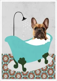 plakat-bez-ramy-do-lazienki-wc-toalety-pies-buldog-w-wannie-p2572-50x70