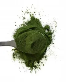 suplement-diety-green-ways-bio-jeczmien-210-g-w-tabletkach