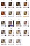 dia-light-farba-do-wlosow-loreal-dialight-50ml-kolor-farby-brazy