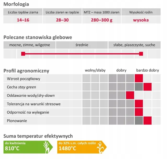 kukurydza-lg-31-300-kod-producenta-lg32-55