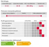 kukurydza-lg-31-300-kod-producenta-lg32-55