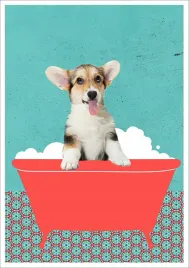 plakat-bez-ramy-do-lazienki-wc-toalety-pies-piesek-w-wannie-p2573-50x70