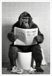 plakat-bez-ramy-do-lazienki-wc-toalety-goryl-kibel-gazeta-p2534-50x70