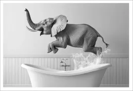 plakat-bez-ramy-do-lazienki-wc-toalety-smieszny-slon-wanna-p2518-50x70
