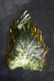 kapka-siodlowa-koguta-kolor-grizzly-olive