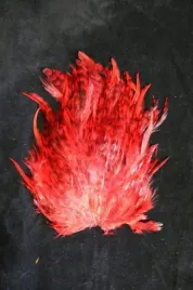 kapka-siodlowa-koguta-kolor-grizzly-red