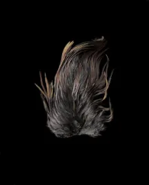 kapka-siodlowa-koguta-kolor-dyed-brown