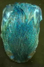 kapka-szyjna-koguta-kl-top-kolor-grizzly-niebieska