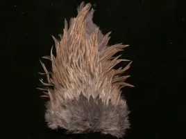 kapka-siodlowa-koguta-kolor-bludun