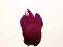 kapka-szyjna-koguta-klasa-extra-kolor-purple