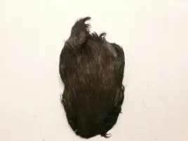 kapka-szyjna-koguta-klasa-extra-kolor-grey