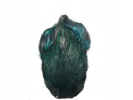 kapka-szyjna-koguta-klasa-extra-kolor-green