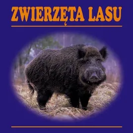 zwierzeta-lasu-harmonijka