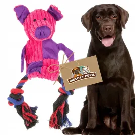 zabawka-dla-psa-interaktywna-3w1-szeleszczaca-i-piszczaca-ze-sznurem