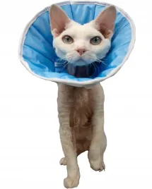 miekki-kolnierz-pozabiegowy-z-tkaniny-pies-kot-3xl