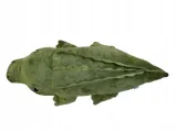 krokodyl-62cm-marka-sun-day