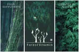 forest-tudca-kwas-tauroursodeoksycholowy-60-kaps-data-waznosci-brak-informacji