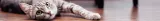 comfy-zdrowy-oddech-70g-waga-70-g