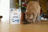 comfy-zdrowy-oddech-70g-stan-opakowania-oryginalne