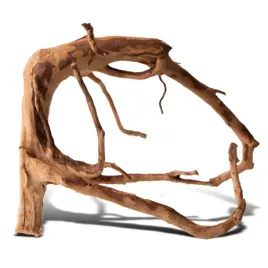 shizen-essence-j-roots-s-male-korzenie-japonskie-mizube-i-ryuboku