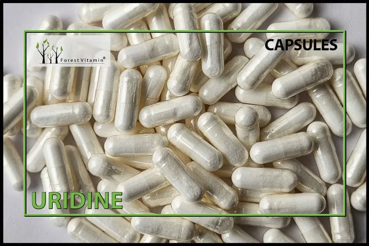 forest-urydyna-ump-100-kaps-alzheimer-mozg