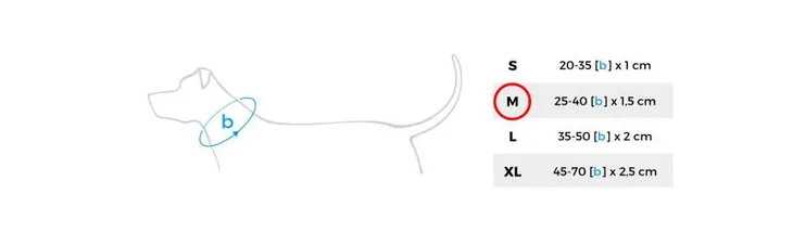 amiplay-obroza-regulowana-basic-m-czarny-kolor-czarny