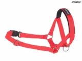 amiplay-halter-basic-m-czerwony