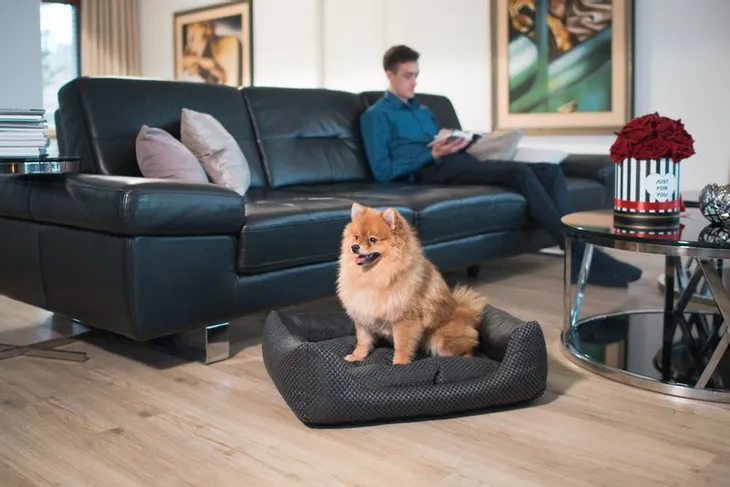 amiplay-sofa-zipclean-4-in-1-morgan-m-wielkosc-psa-sredni-pies