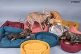 amiplay-sofa-montana-m-rodzaj-kanapa