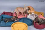 amiplay-sofa-montana-m-rodzaj-kanapa
